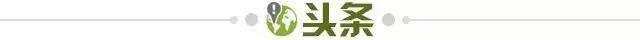 世界杯高清直播-【早报】曼城拿下天王山，拜仁卫冕德甲冠军！